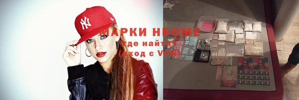 хмурый Алзамай