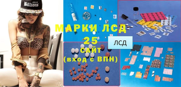 хмурый Алзамай