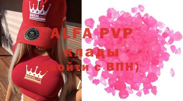 хмурый Алзамай