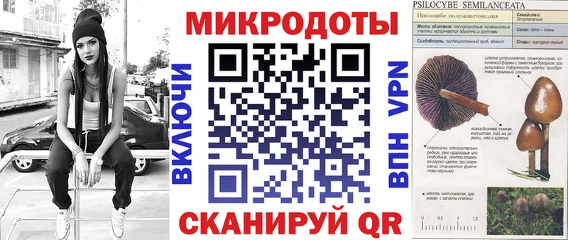Галлюциногенные грибы прущие грибы Бодайбо